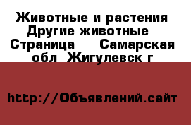 Животные и растения Другие животные - Страница 2 . Самарская обл.,Жигулевск г.